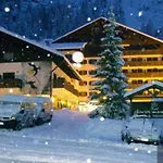 Aparthotel Regina Delle Dolomiti 3*
